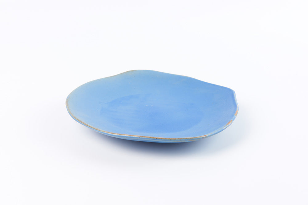 Freeform Plate 10
